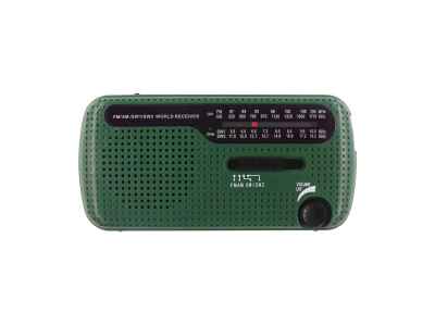 Degen DE13DSP Noodradio